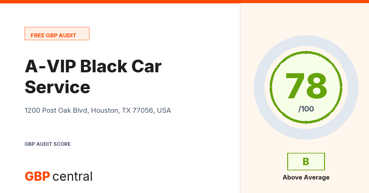 Preview of the A-VIP Black Car Service audit report