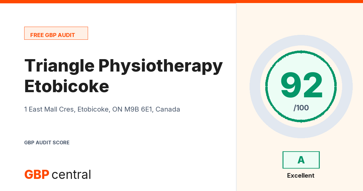 Preview of the Triangle Physiotherapy Etobicoke audit report