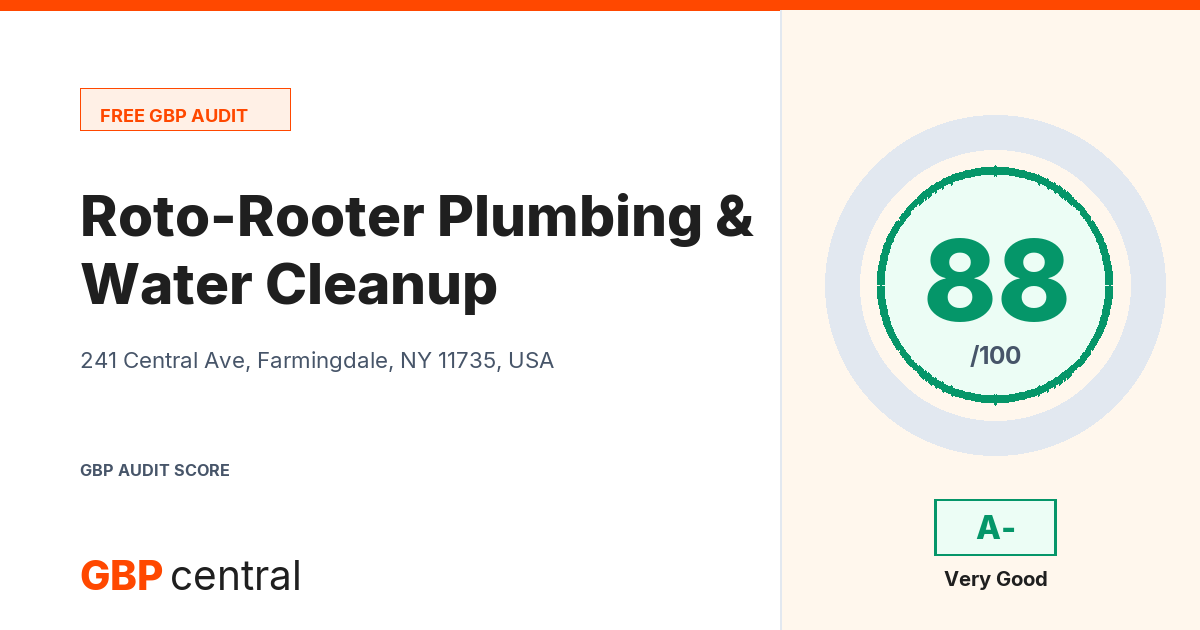 Preview of the Roto-Rooter Plumbing & Water Cleanup audit report