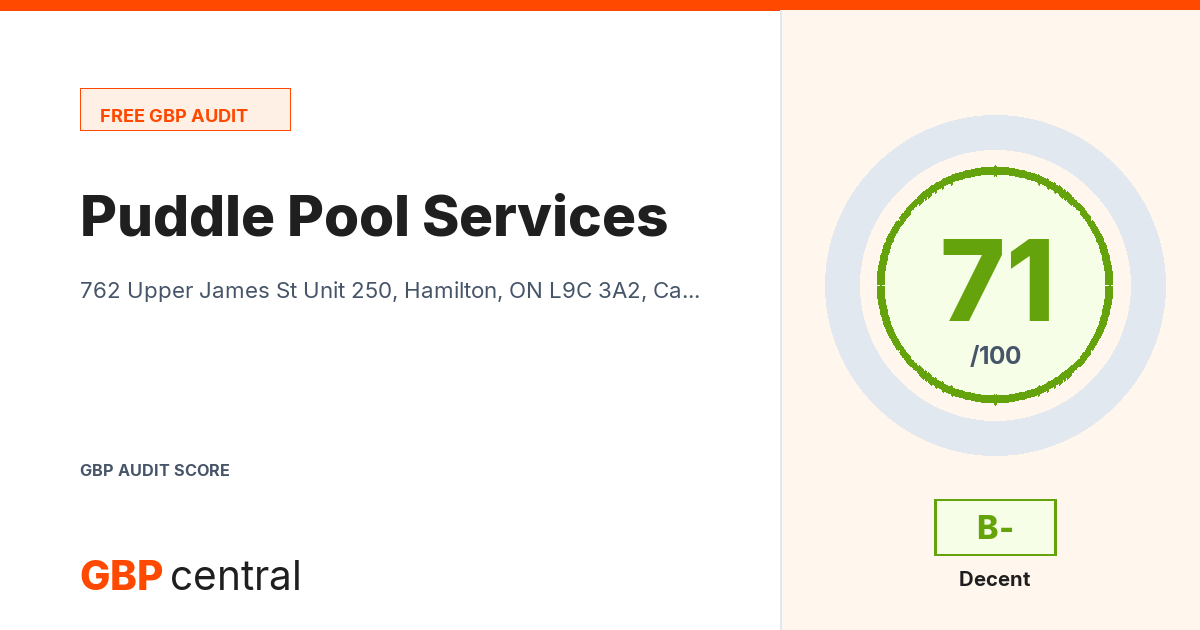 Preview of the Puddle Pool Services audit report