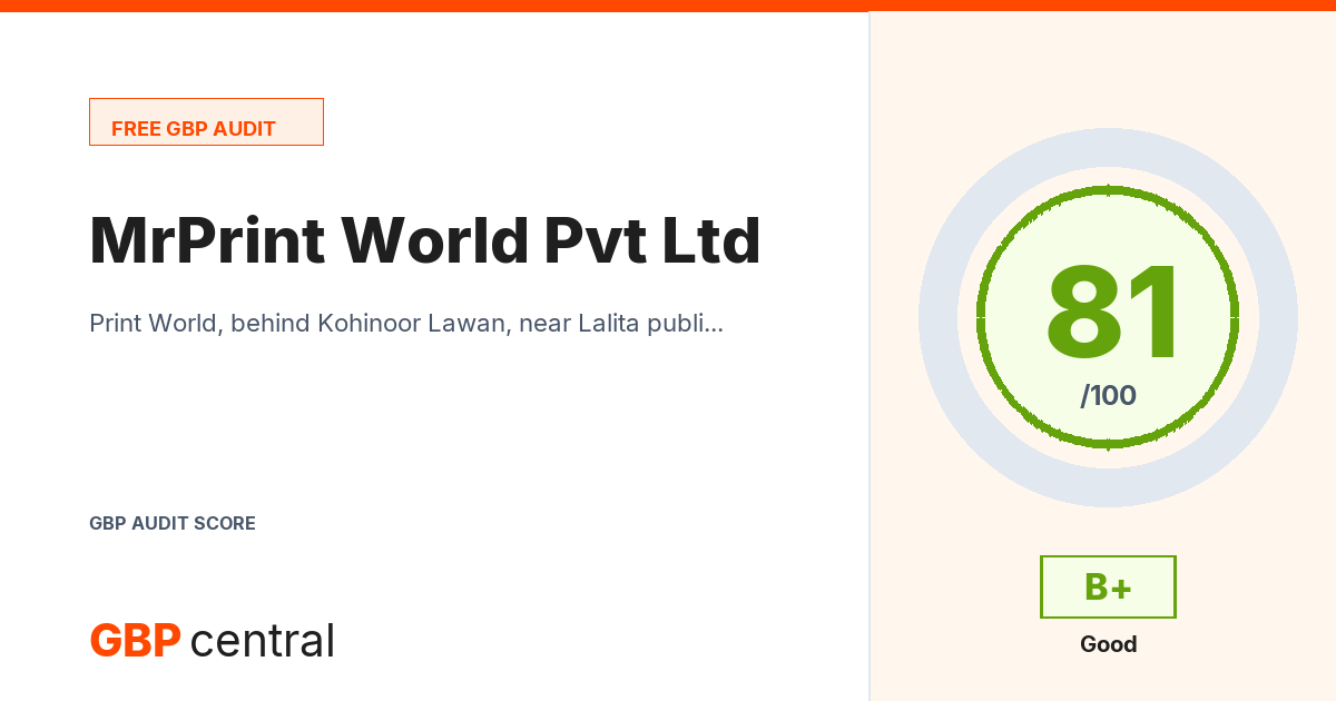 Preview of the MrPrint World Pvt Ltd audit report