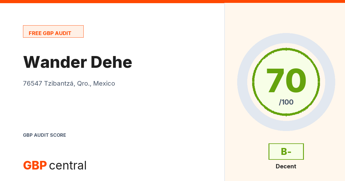 Preview of the Wander Dehe audit report