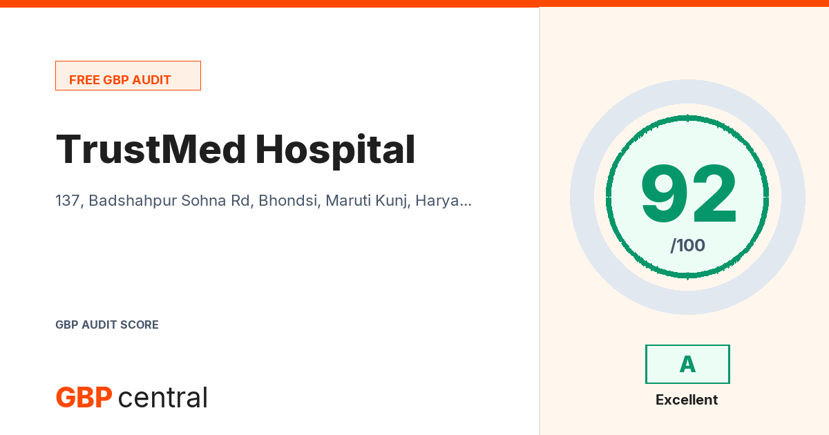 Preview of the TrustMed Hospital audit report
