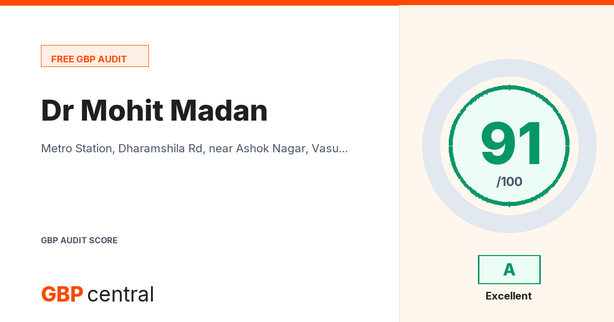 Preview of the Dr Mohit Madan audit report