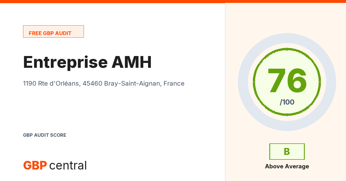 Preview of the Entreprise AMH audit report