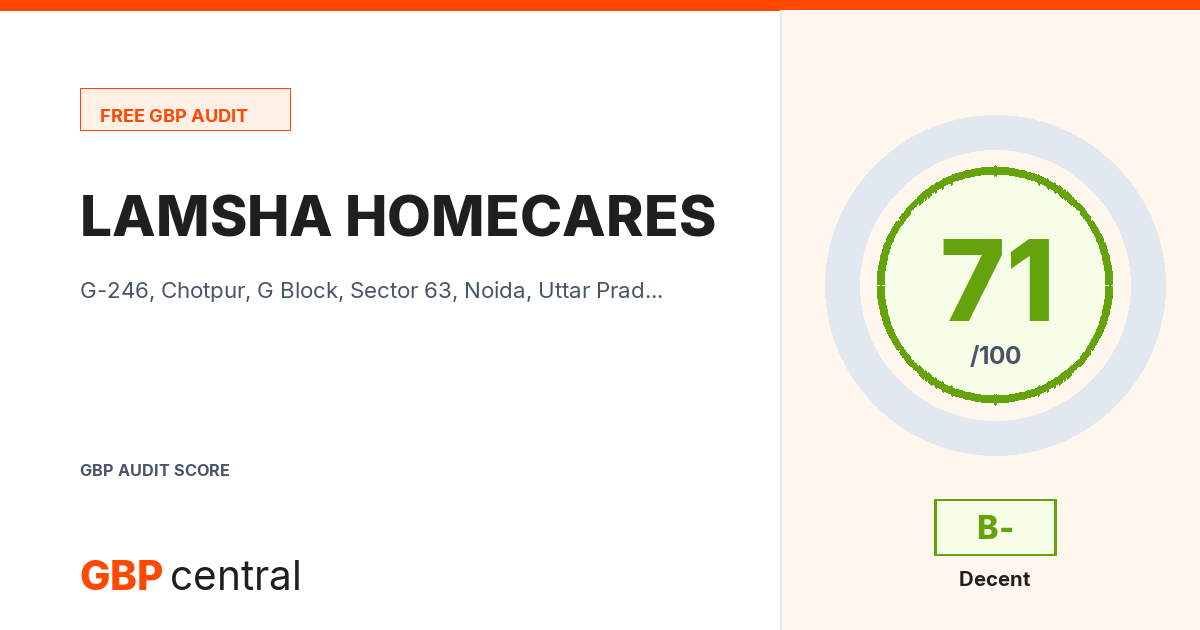 Preview of the LAMSHA HOMECARES audit report