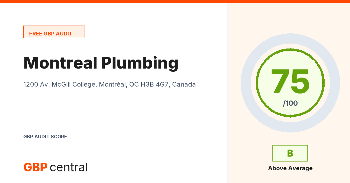 Preview of the Montreal Plumbing audit report