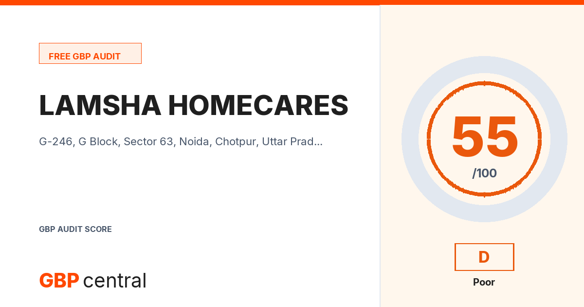 Preview of the LAMSHA HOMECARES audit report