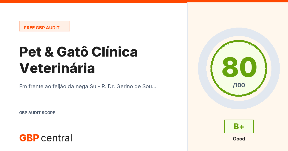 Preview of the Pet & Gatô Clínica Veterinária audit report