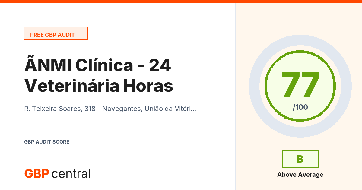 Preview of the ÃNMI Clínica Veterinária - 24 Horas audit report