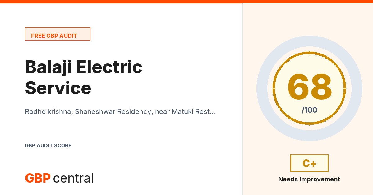 Preview of the Balaji Electric Service audit report