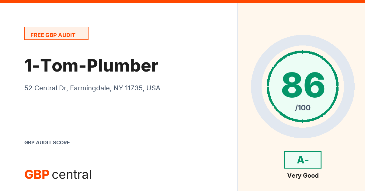 Preview of the 1-Tom-Plumber audit report