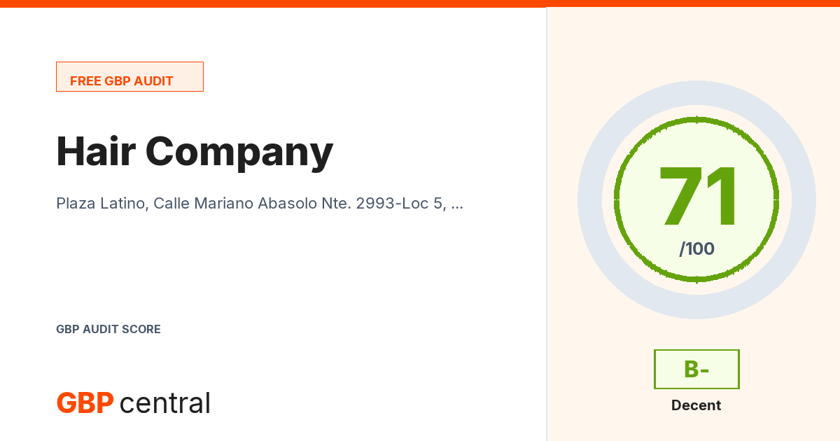 Preview of the Hair Company audit report