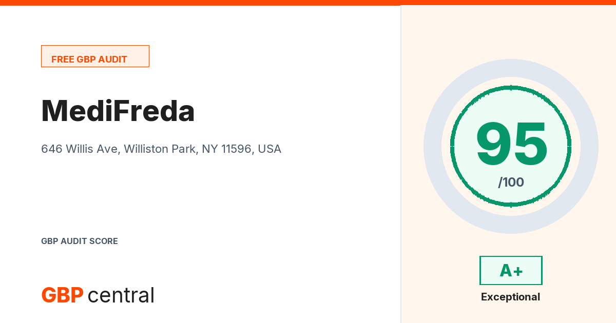 Preview of the MediFreda audit report