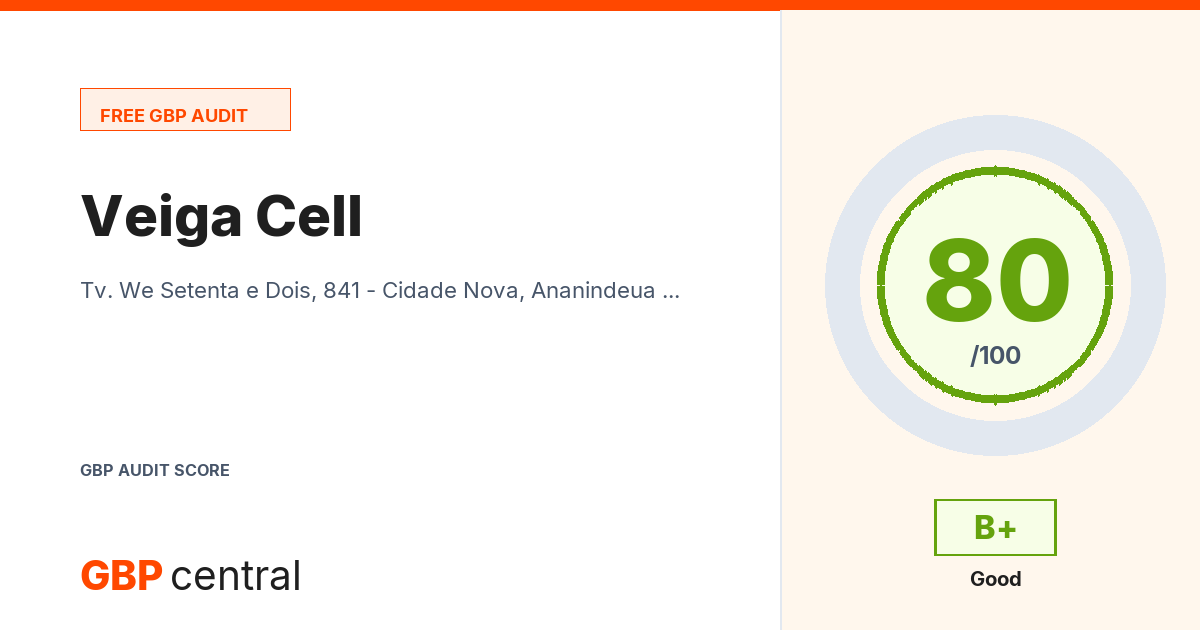 Preview of the Veiga Cell audit report