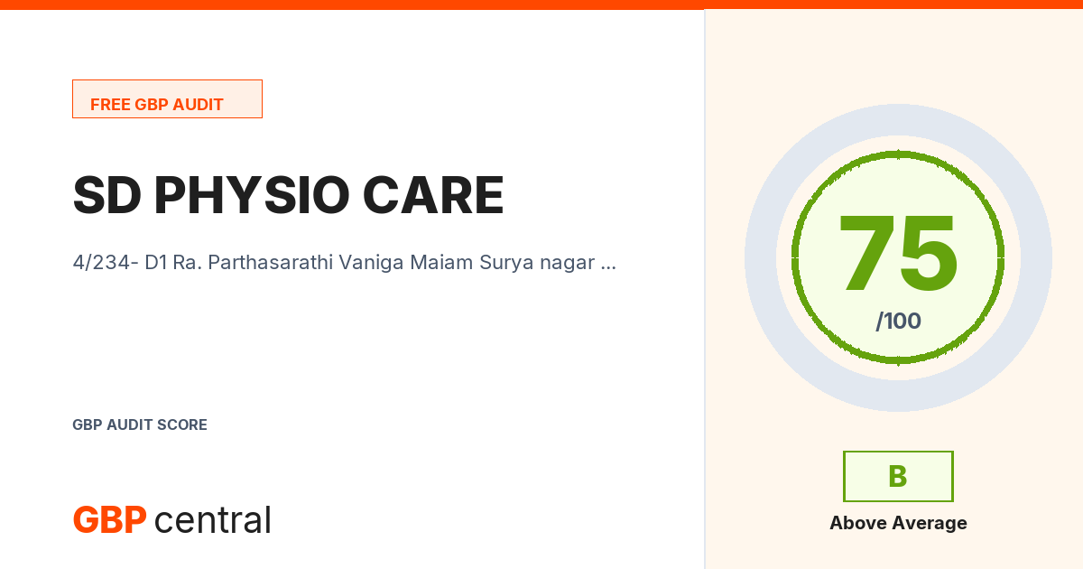 Preview of the SD PHYSIO CARE audit report