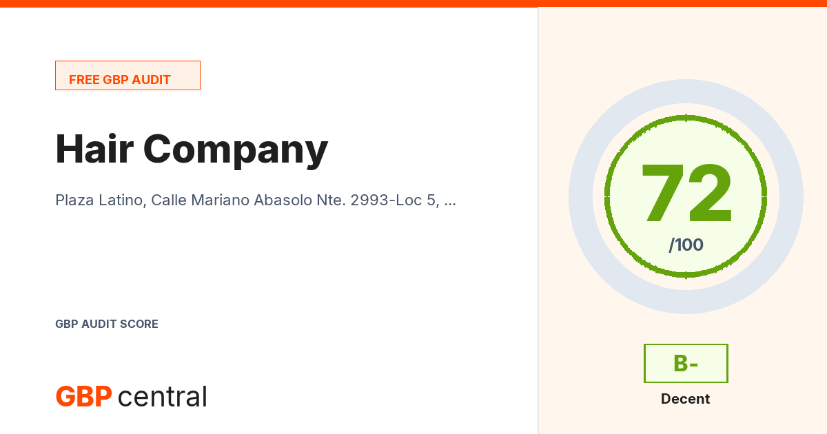 Preview of the Hair Company audit report