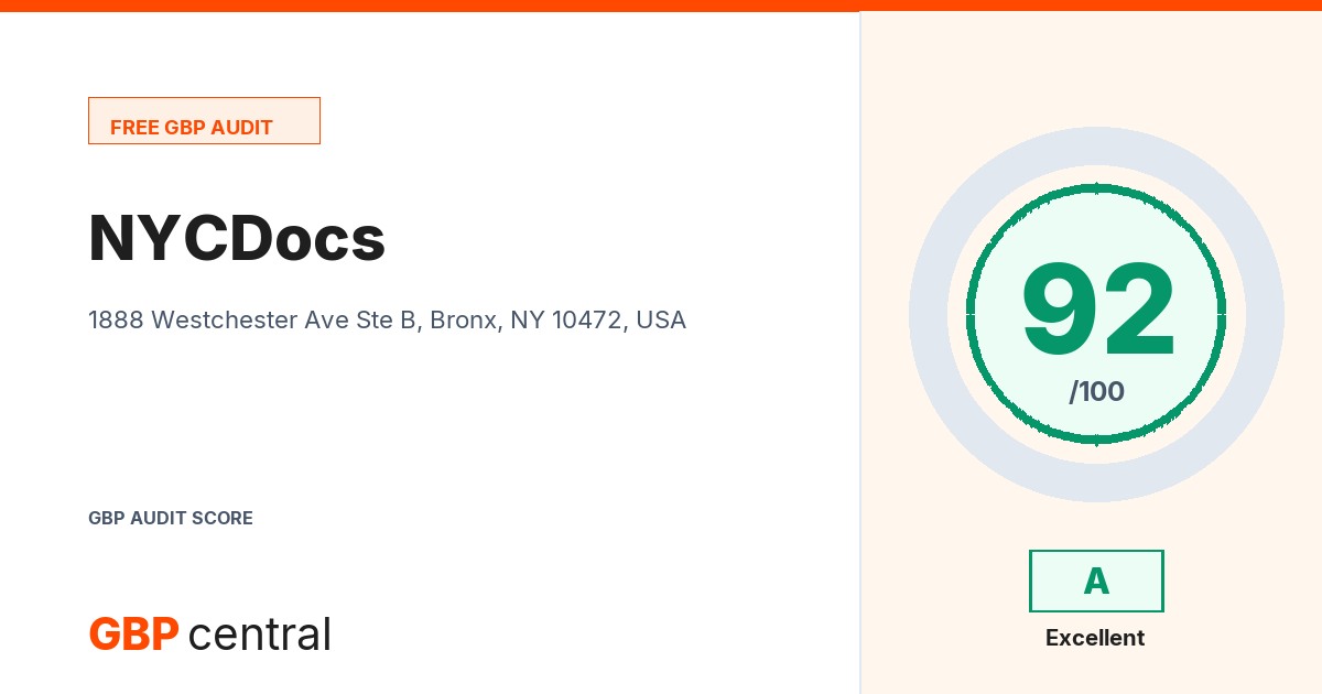 Preview of the NYCDocs audit report