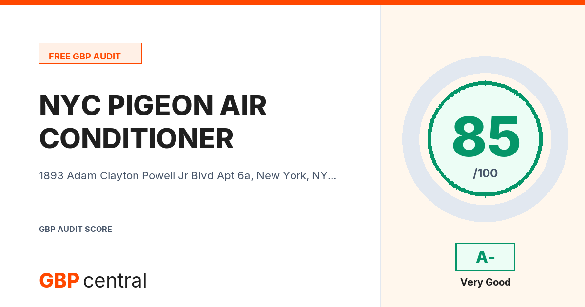 Preview of the NYC PIGEON AIR CONDITIONER audit report