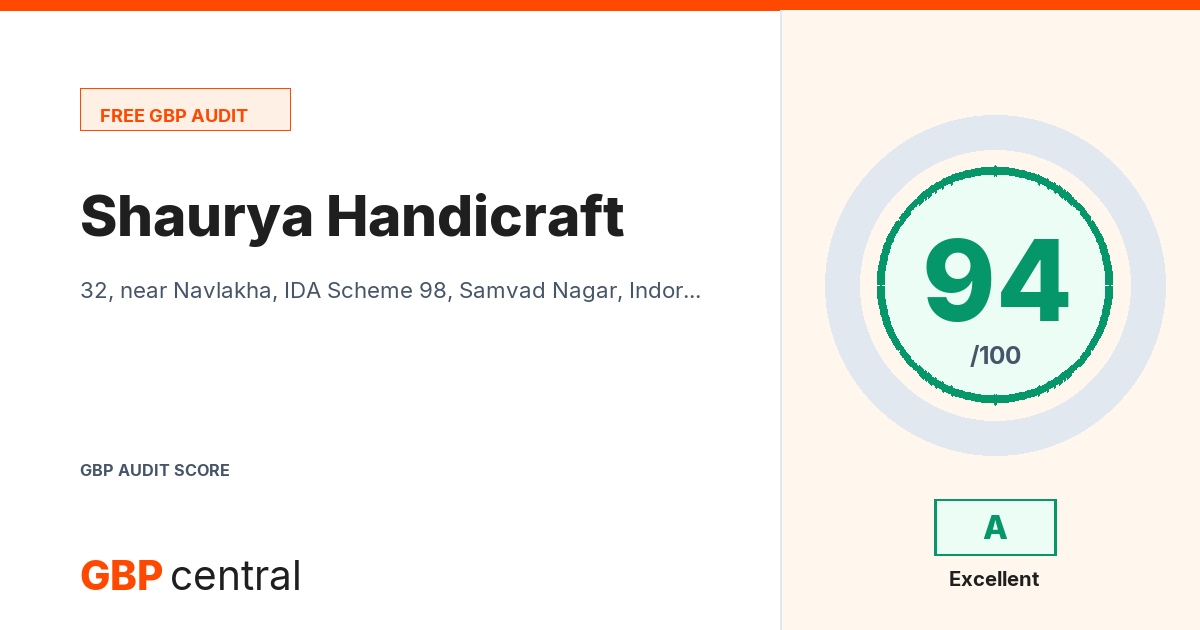 Preview of the Shaurya Handicraft audit report
