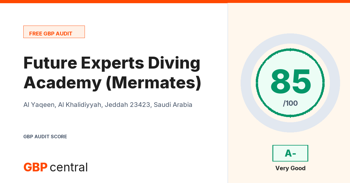 Preview of the Future Experts Diving Academy (Mermates) audit report