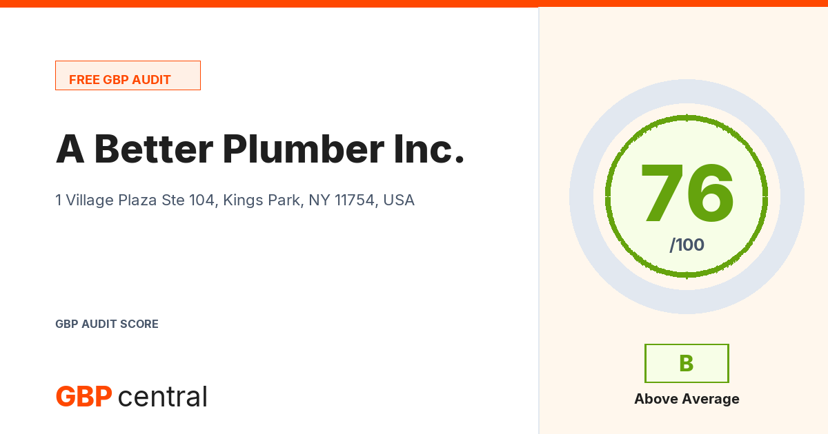 Preview of the A Better Plumber Inc. audit report