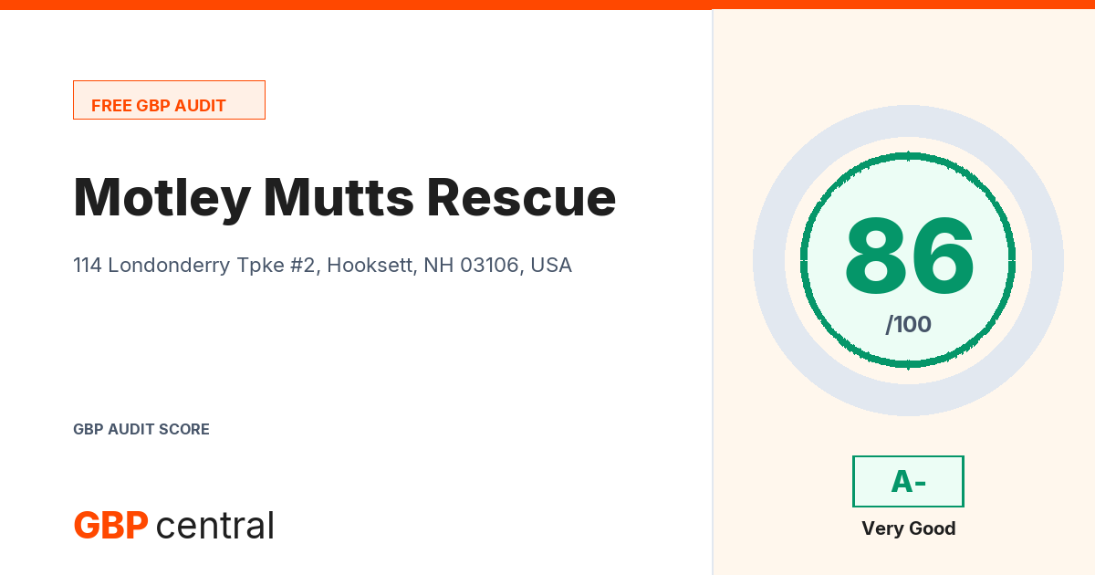 Preview of the Motley Mutts Rescue audit report