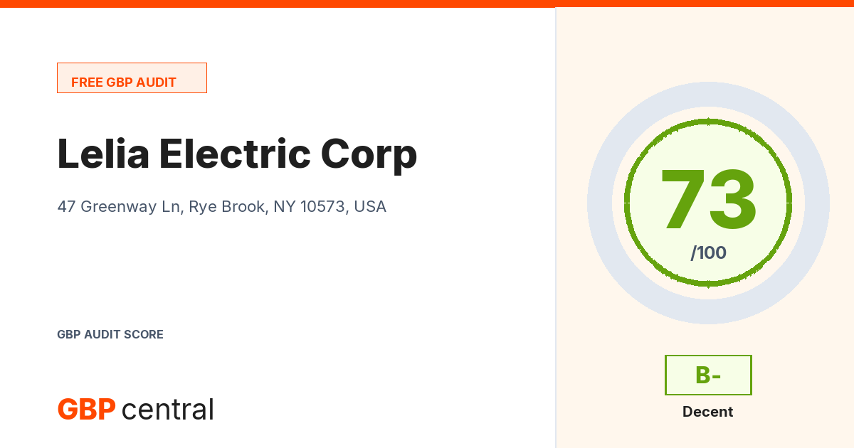 Preview of the Lelia Electric Corp audit report
