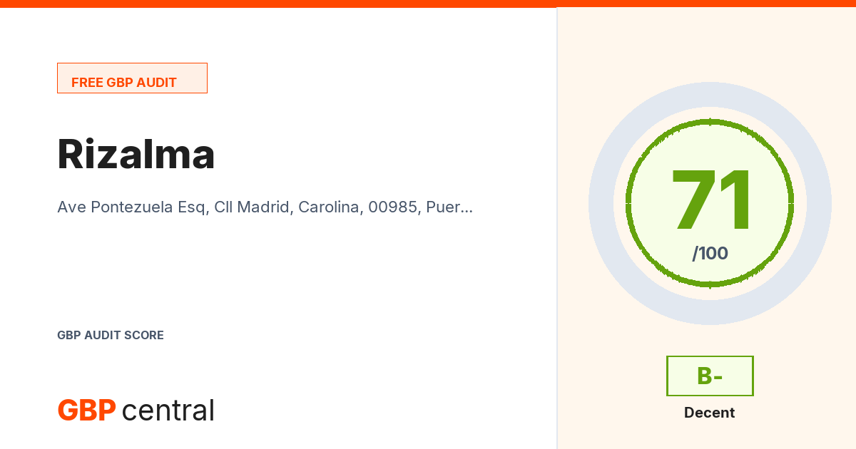 Preview of the Rizalma audit report