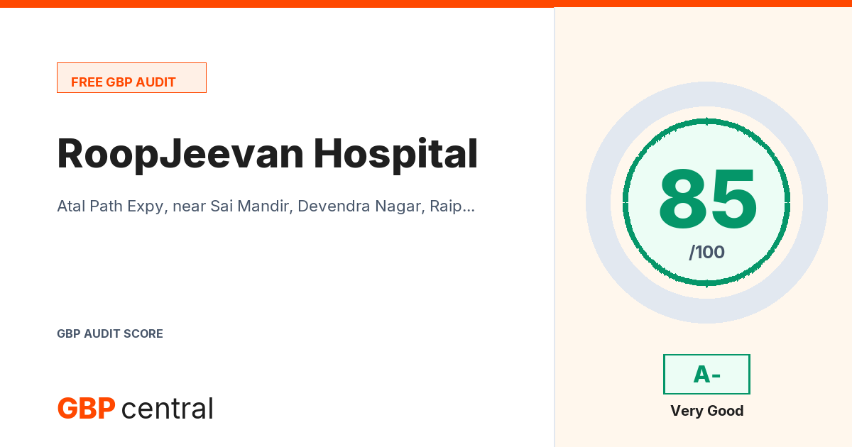 Preview of the RoopJeevan Hospital audit report
