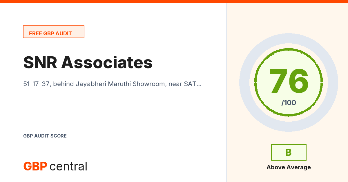 Preview of the SNR Associates audit report