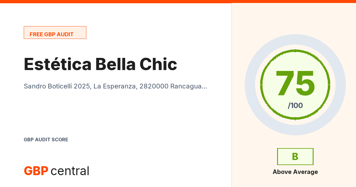 Preview of the Estética Bella Chic audit report