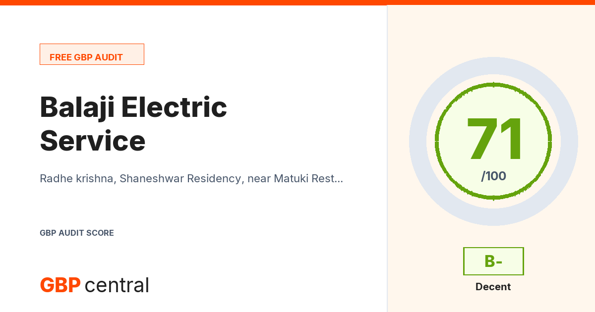 Preview of the Balaji Electric Service audit report