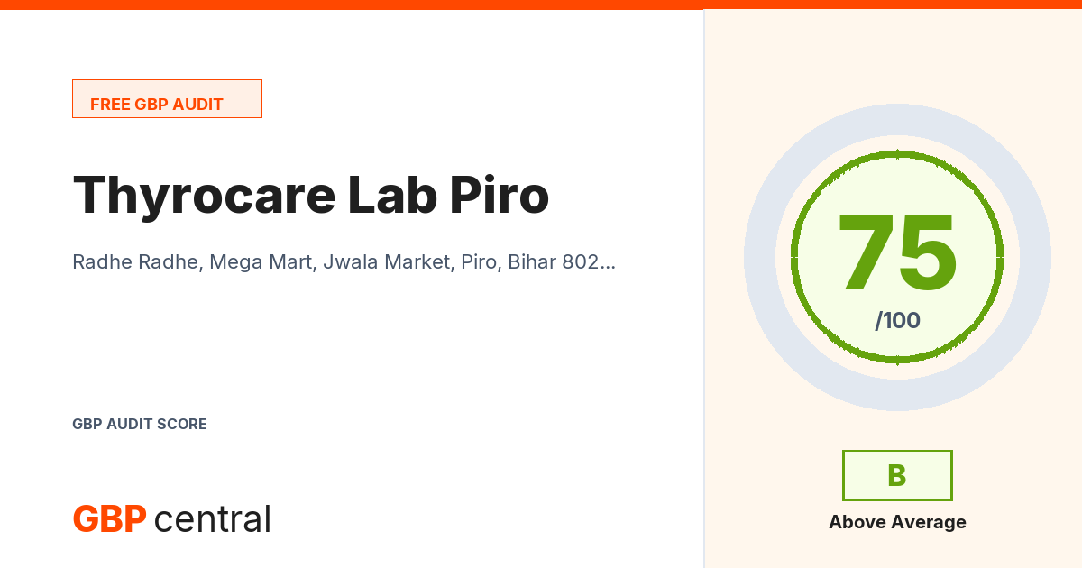 Preview of the Thyrocare Lab Piro audit report