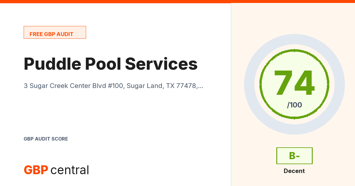 Preview of the Puddle Pool Services audit report