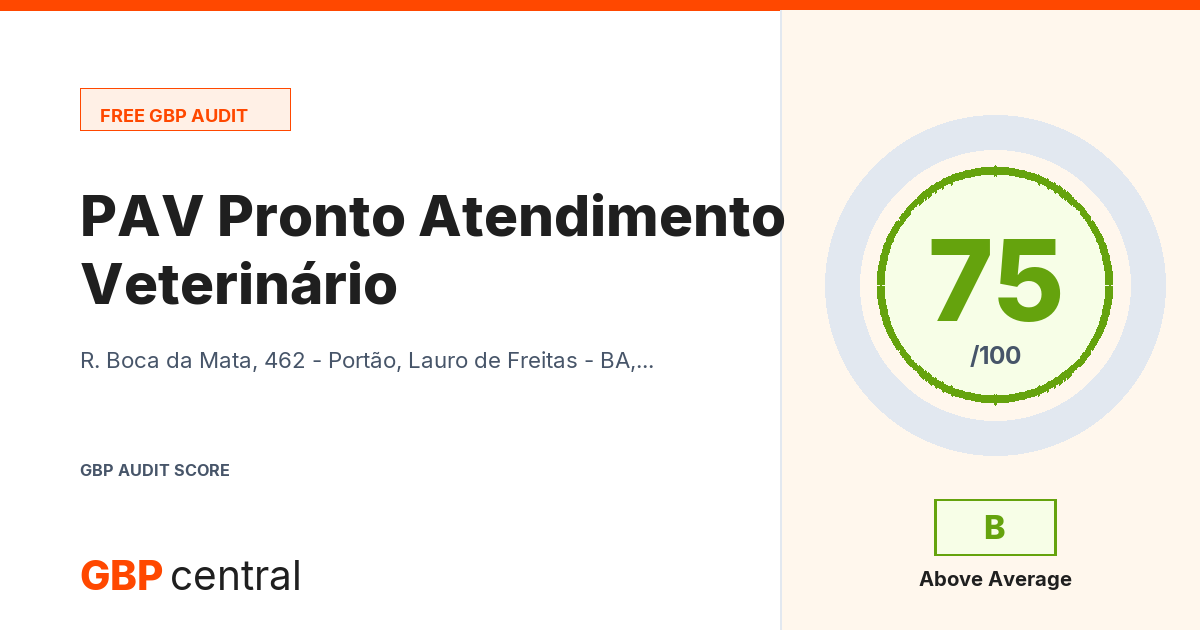 Preview of the PAV Pronto Atendimento Veterinário audit report